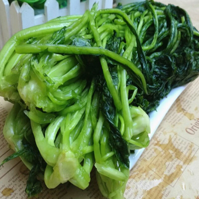 青雪菜新鲜雪菜咸菜新鲜雪里红绿雪菜5斤1腌制咸菜下饭菜农家蔬菜 黄