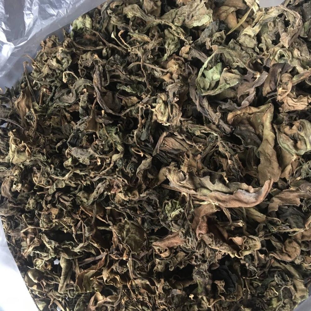 明月草干叶神仙草富贵菜白背三七金鸡毛草明月草茶一斤半斤250克