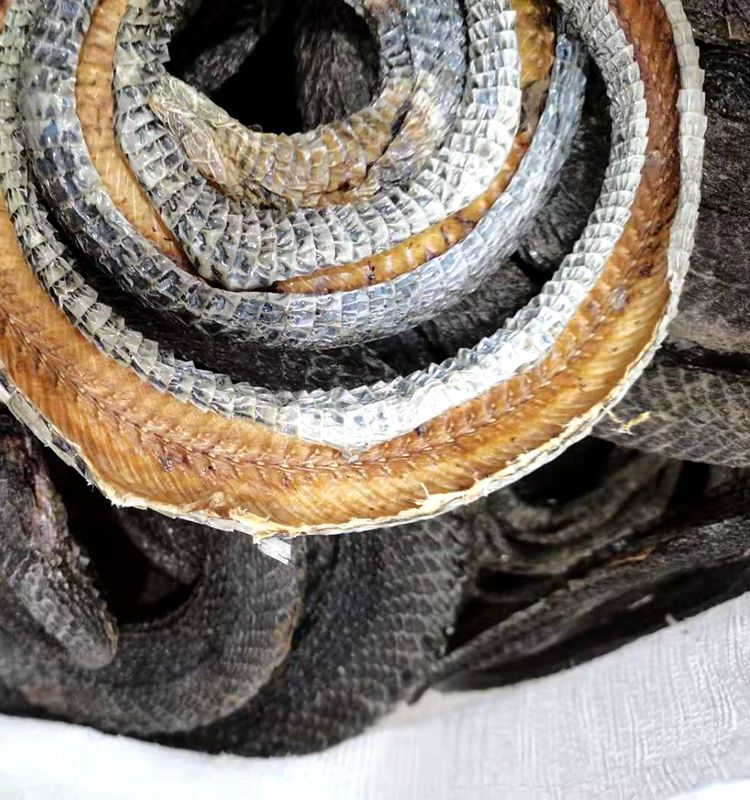 中药材四川乌梢蛇 眼镜蛇100克新货整盘切段磨粉【图片 价格 品牌