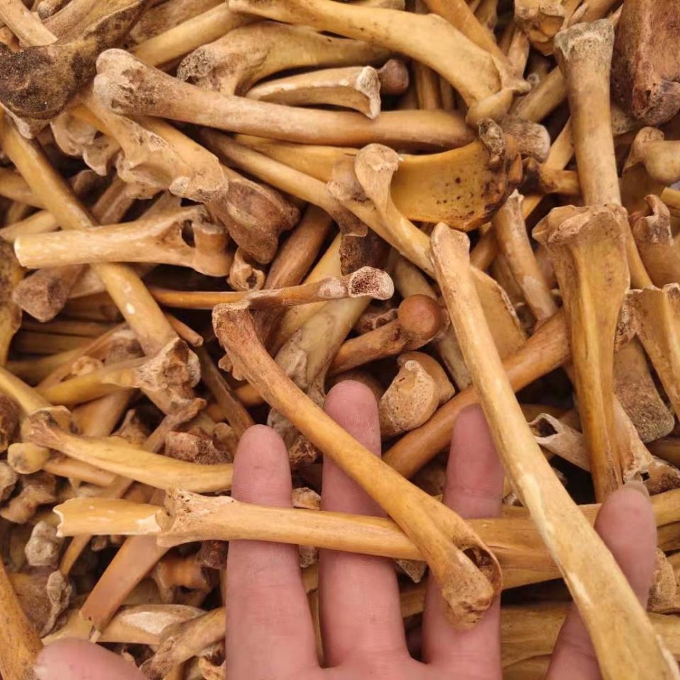 同仁堂有仁堂中药材狗骨头粉煅狗骨头炒制狗骨头粉药用犬骨粉北京内廷