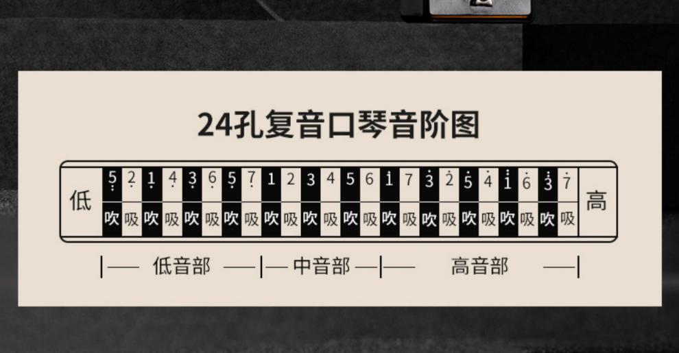 romusic口琴儿童初学者学生成人24孔复音c调入门乐器便携小众水墨黑