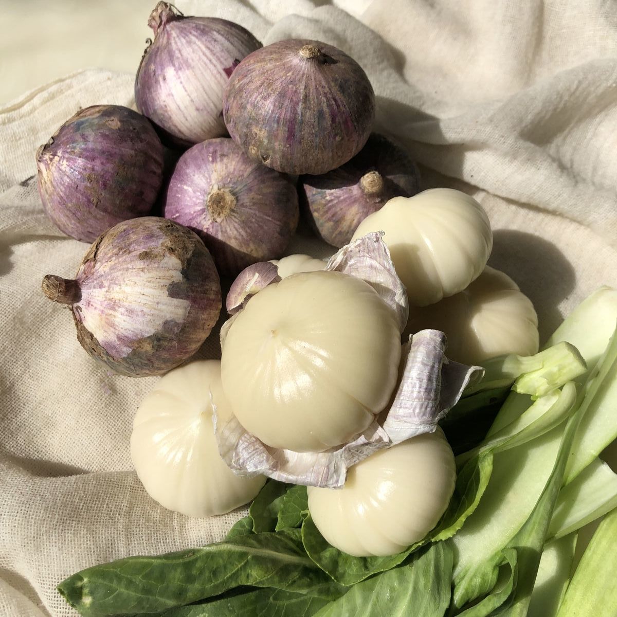 【现挖湿蒜】云南特产独头紫皮大蒜头新鲜独头大蒜正宗紫皮大头蒜 大