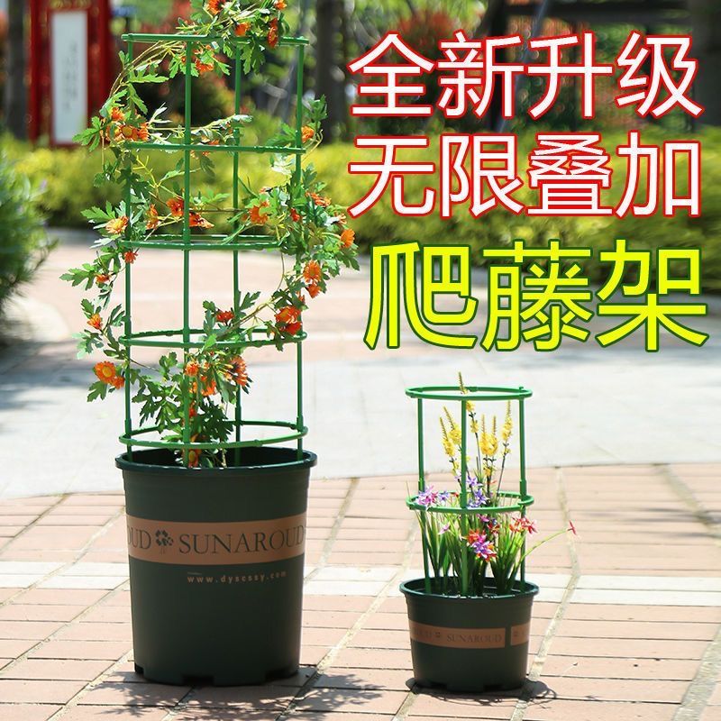 6ba75609-14ef-473f-be11-b2eea1aa8a12.jpe