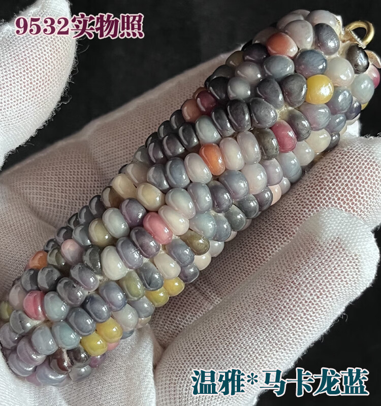 8cd222b81261e024.jpg