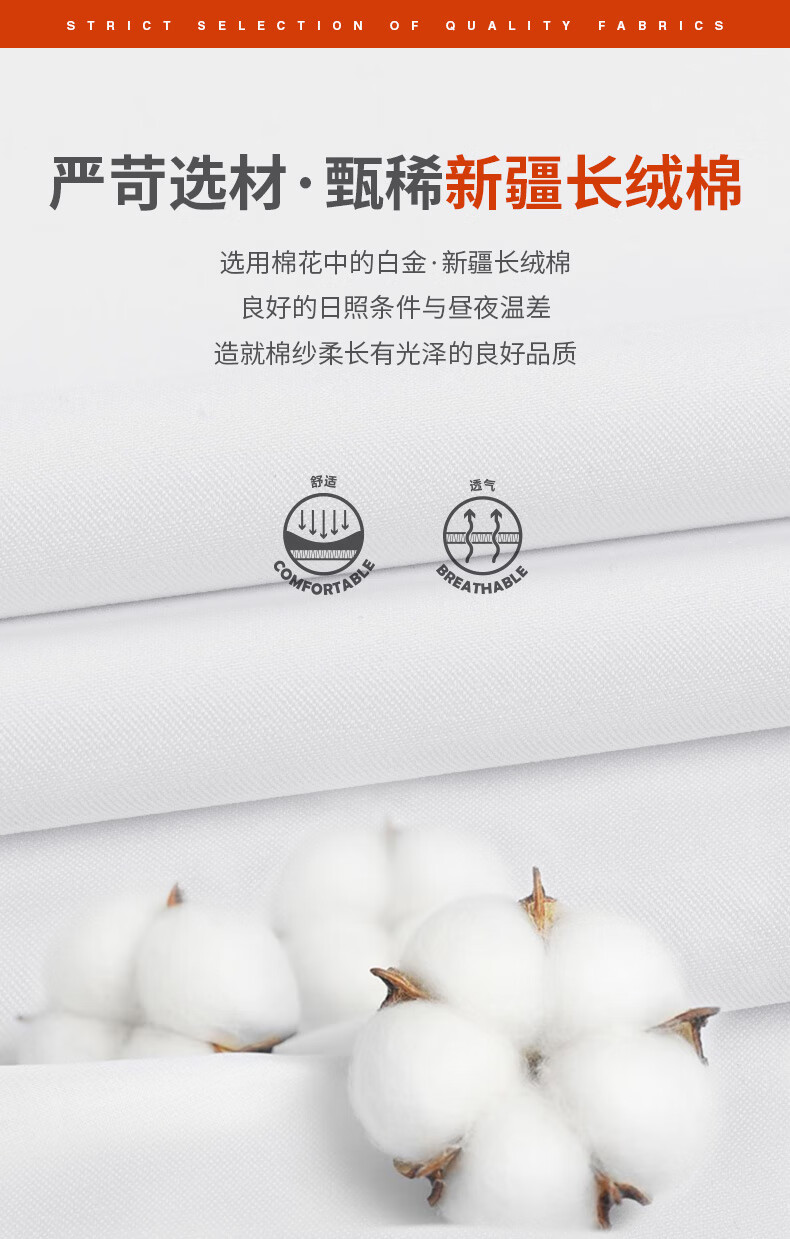 fa02538266cf2538.jpg