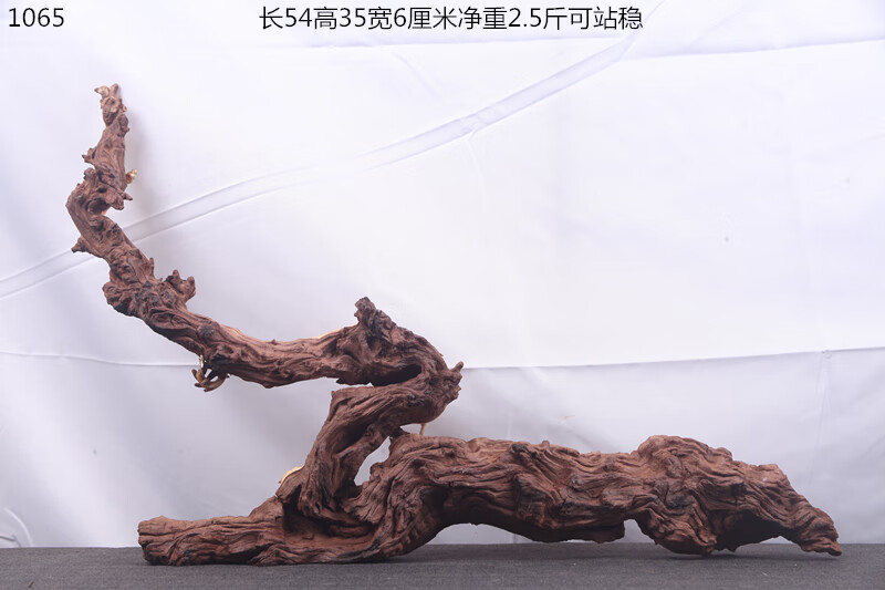 8c75fdb74561ea50.jpg