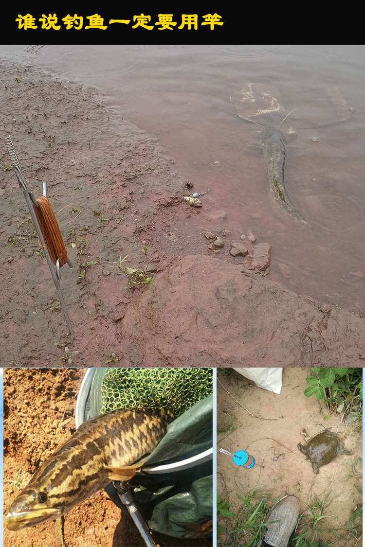 同款甲魚鉤黑魚鉤專用手線地插地鉤套裝帶彈簧釣鯰魚甲魚黑魚鱖魚