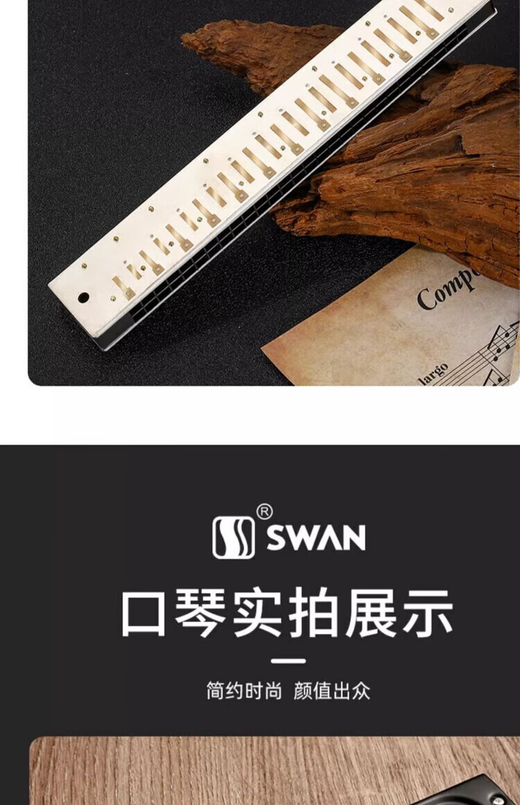 cc824432b5bc4819.jpg