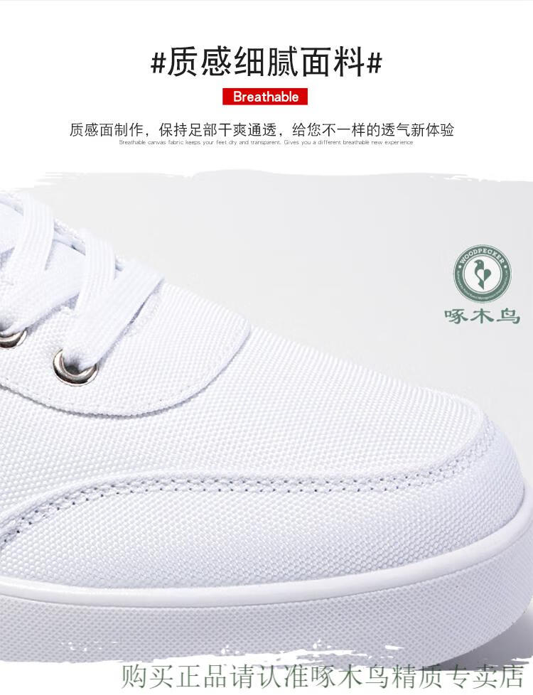 c4092bf4f7a79868.jpg
