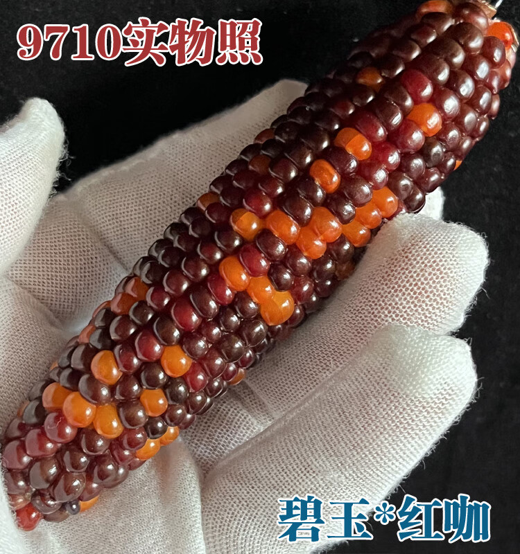 68a3650db7e47eba.jpg