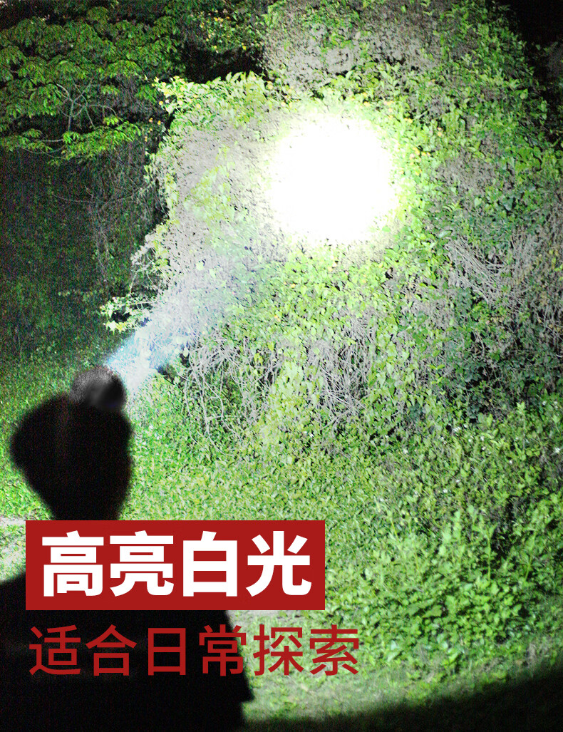 e481d164b89c53c2.jpg