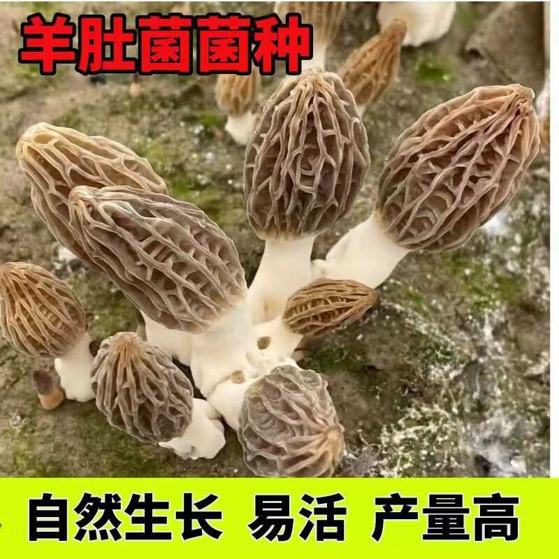 d9039da9-203c-4379-9787-f54fedc42afe.jpe