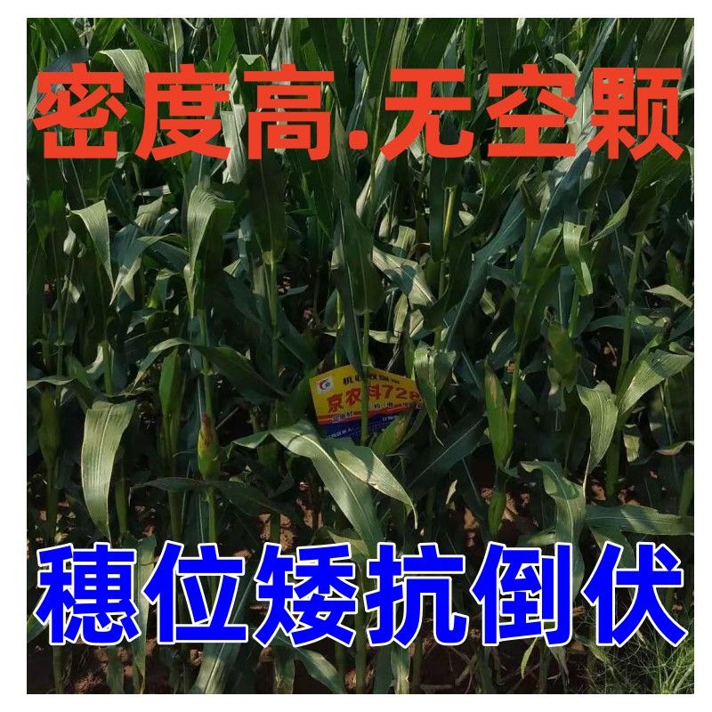 713767d0d8636cd2.jpg
