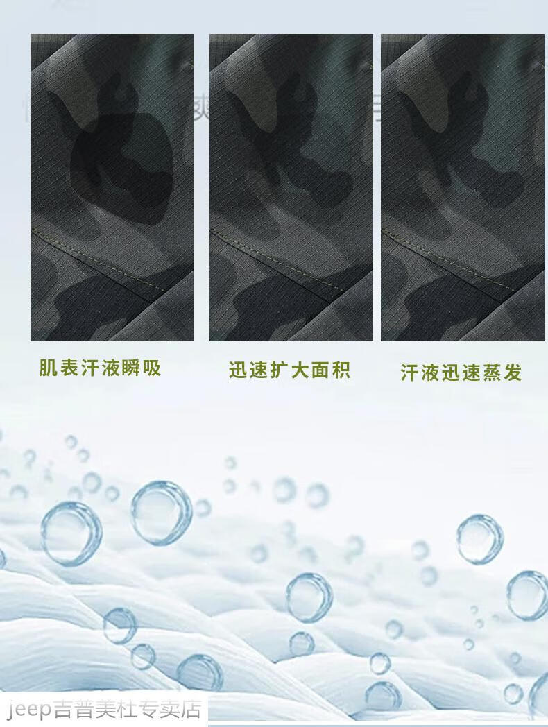 b3666291d4ec9597.jpg