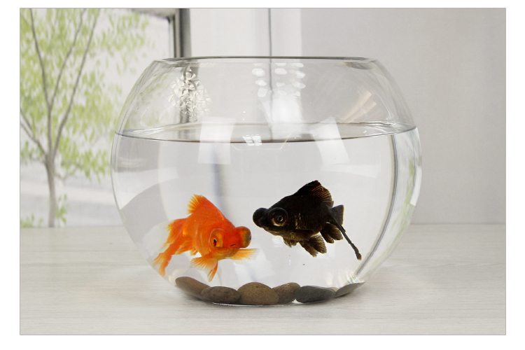 鱼缸玻璃创意圆形水培透明客厅中型办公室桌面小型金鱼迷你小鱼缸 40