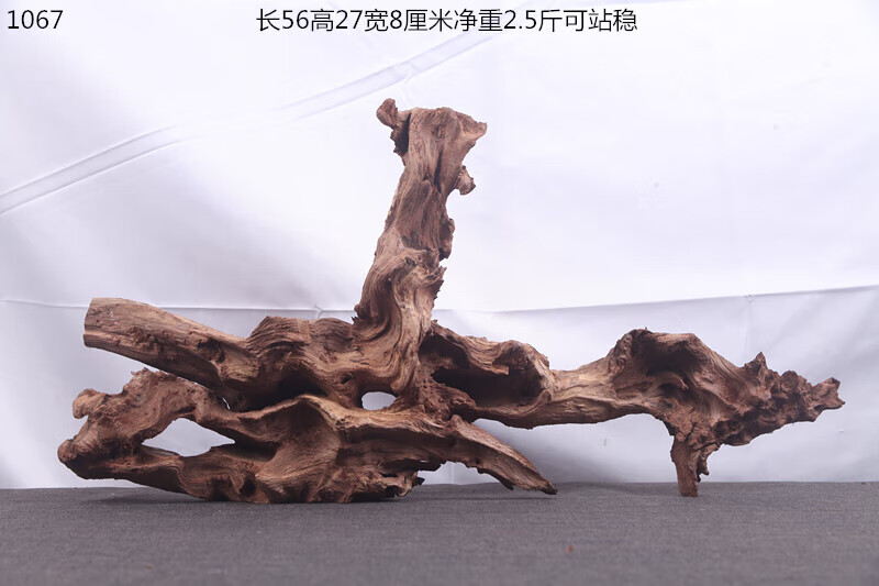 da7286dcbaf83014.jpg