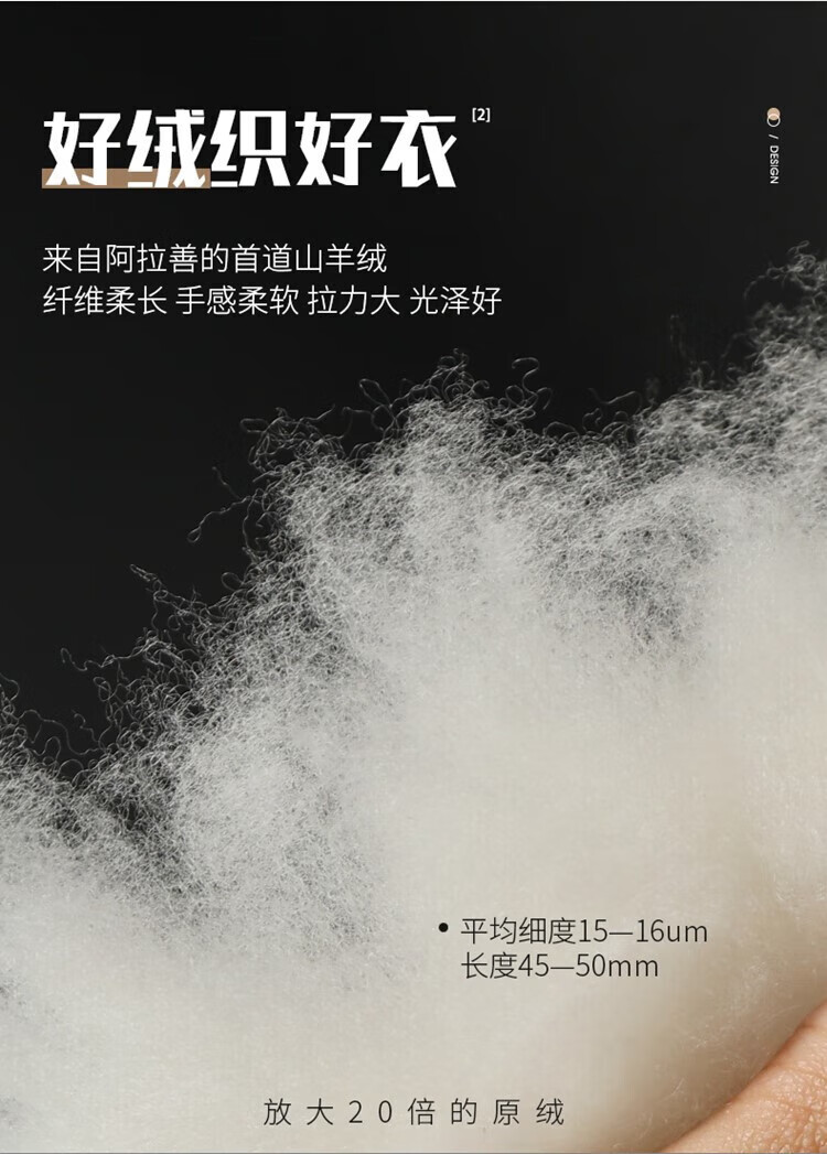 cb2bdda3521a837d.jpg