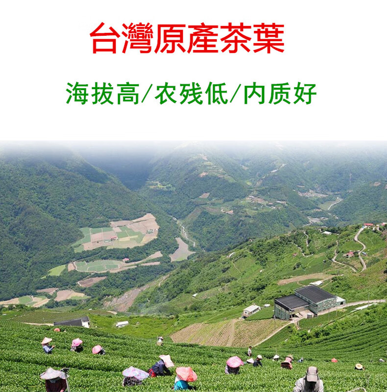 295f1f5ec7eccb45.jpg