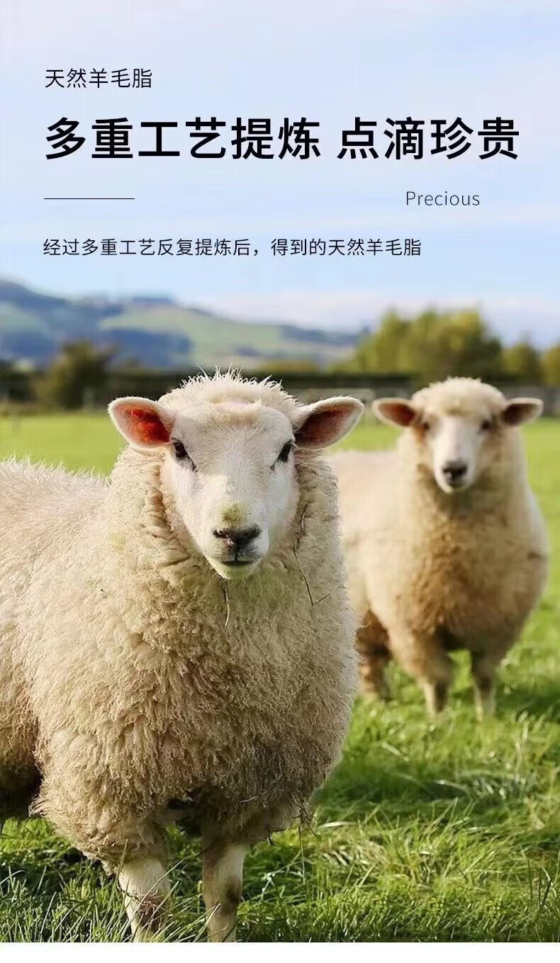 菲脂美妆工具绵羊油润肤霜身体乳护手霜防裂防干皮补水学生 3瓶装