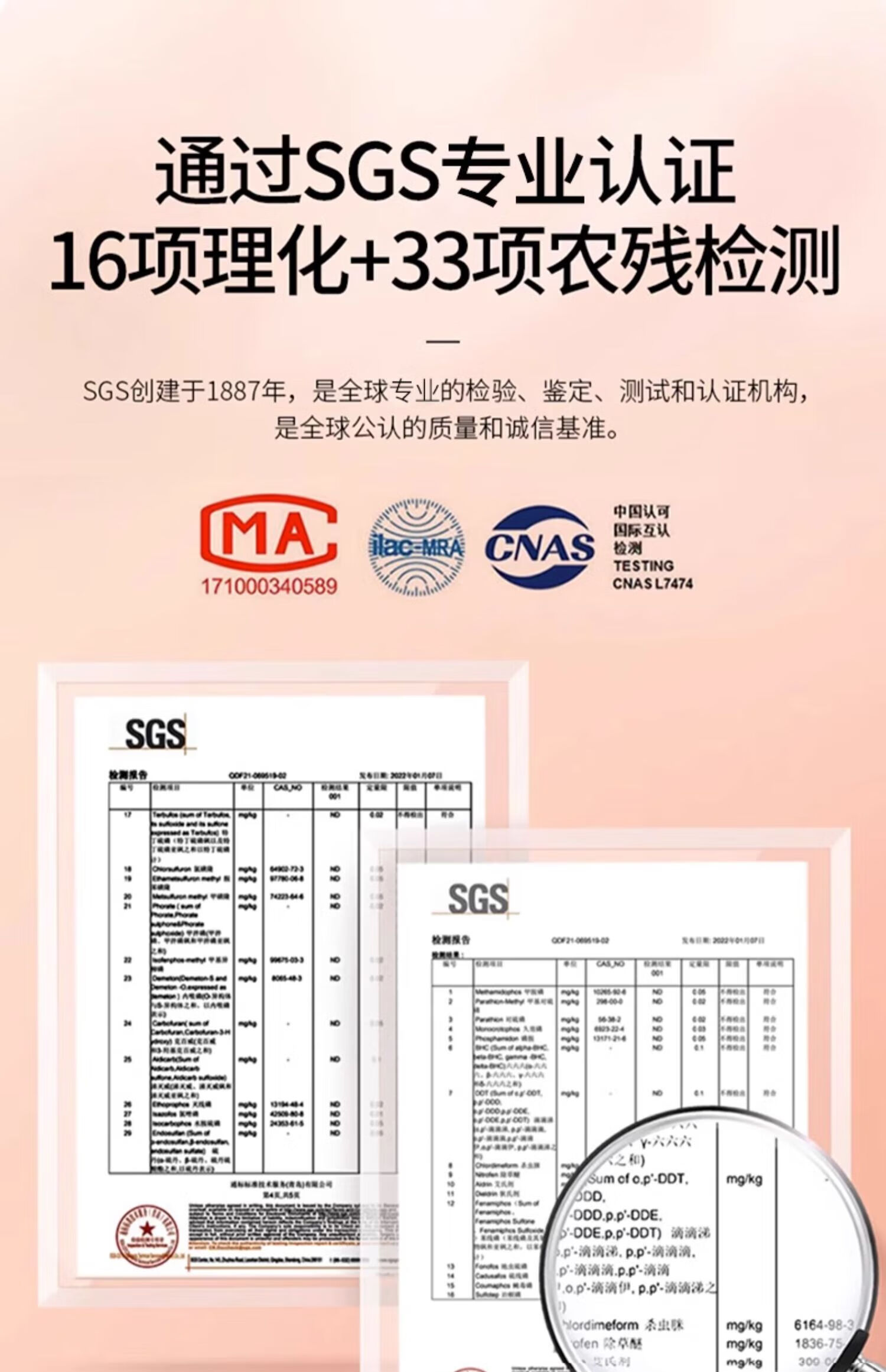 53018ef0ea491b0f.jpg