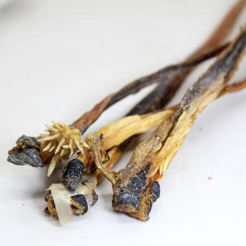 中药材蛇鞭 100克大条泡酒男士新货蛇鞭干乌梢蛇蛇胆养生泡酒原料