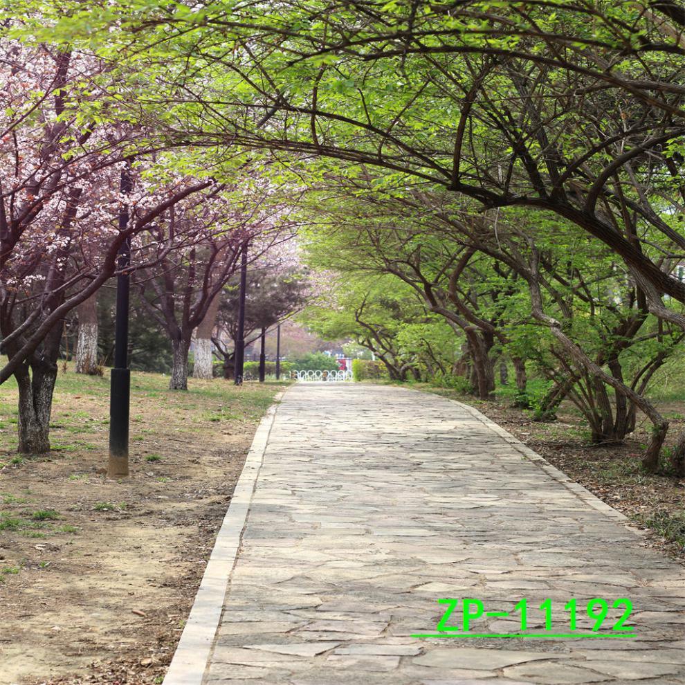 2bb13fd4-ad84-4edb-a04b-47b235865343.jpe