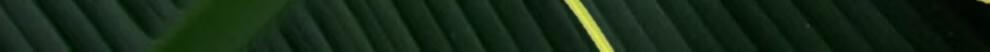 45464efc3bcc30fc.jpg
