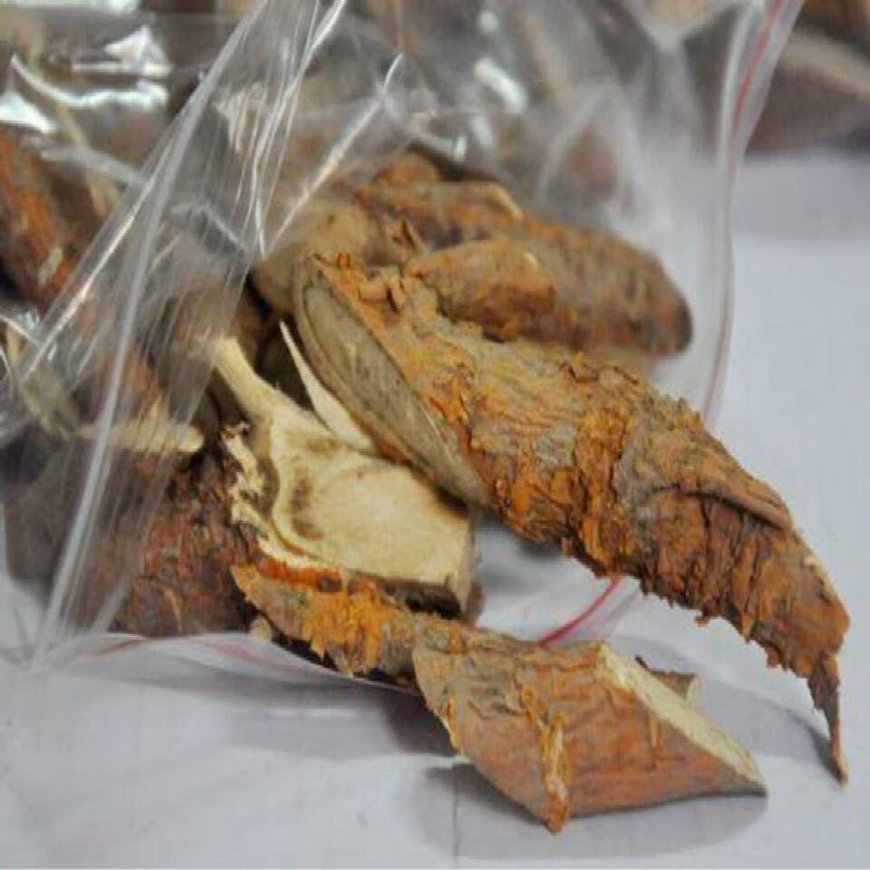 桑椹根 桑树枝 桑白皮根 桑树根头 新鲜老桑根