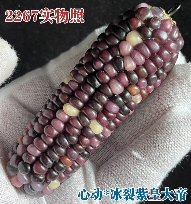c0abfe49f93e611b.jpg