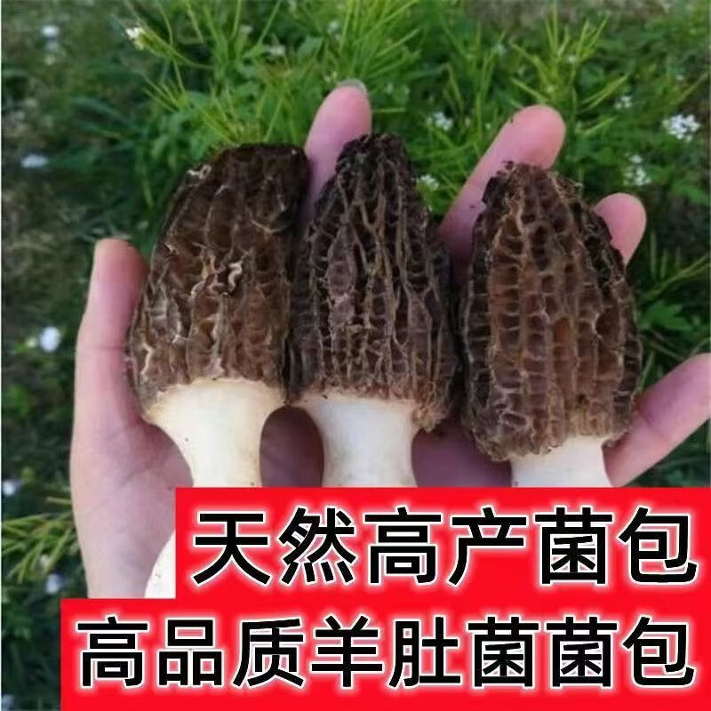 a9a1f118-30e5-43d5-8eff-aa6c23a1c085.jpe