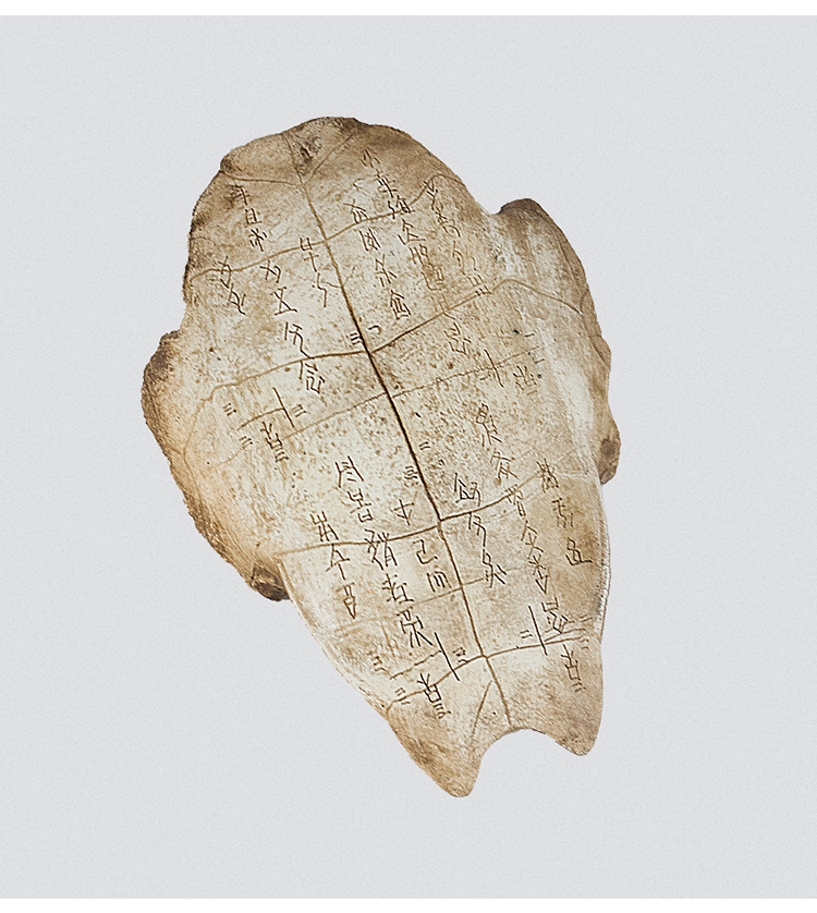 2022新款仿甲骨文龟壳树脂仿真化石甲骨文龟壳摆件