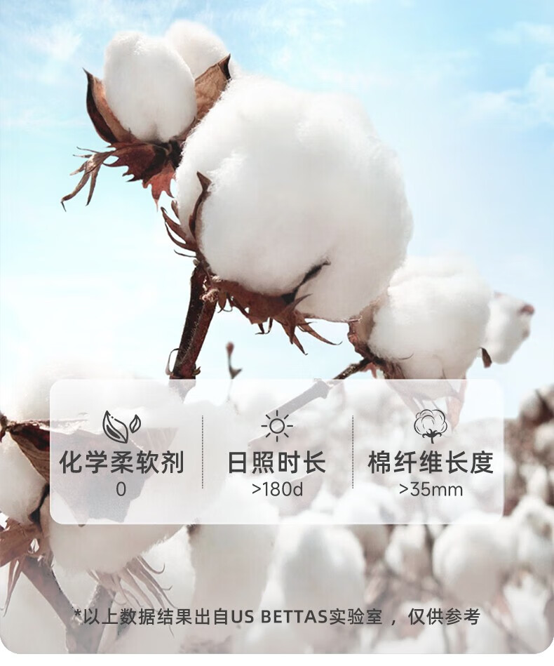 950703b37587ff65.jpg