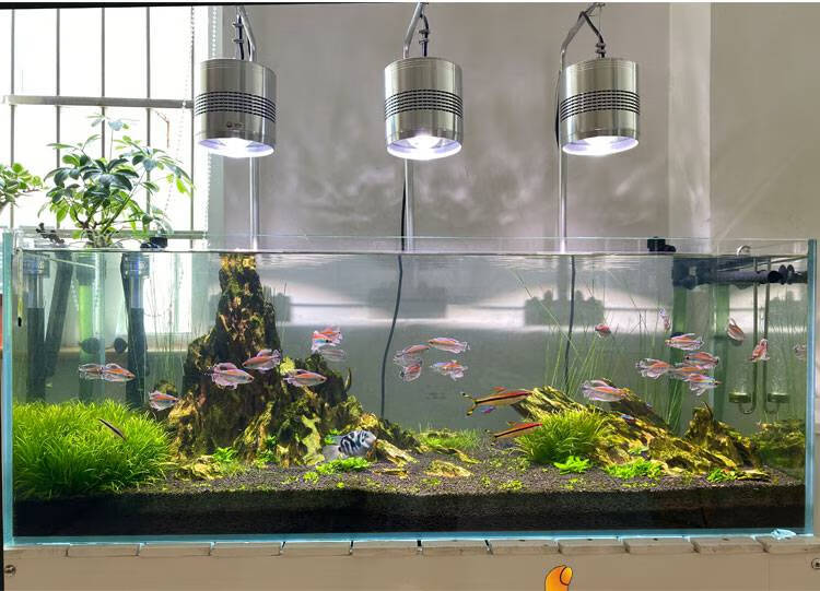 光谱灯 水族全光谱led水草筒灯金鱼爆藻青苔桶灯水箱照明at3鱼缸吊灯