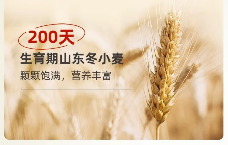 08c91cf5759fe8ae.png