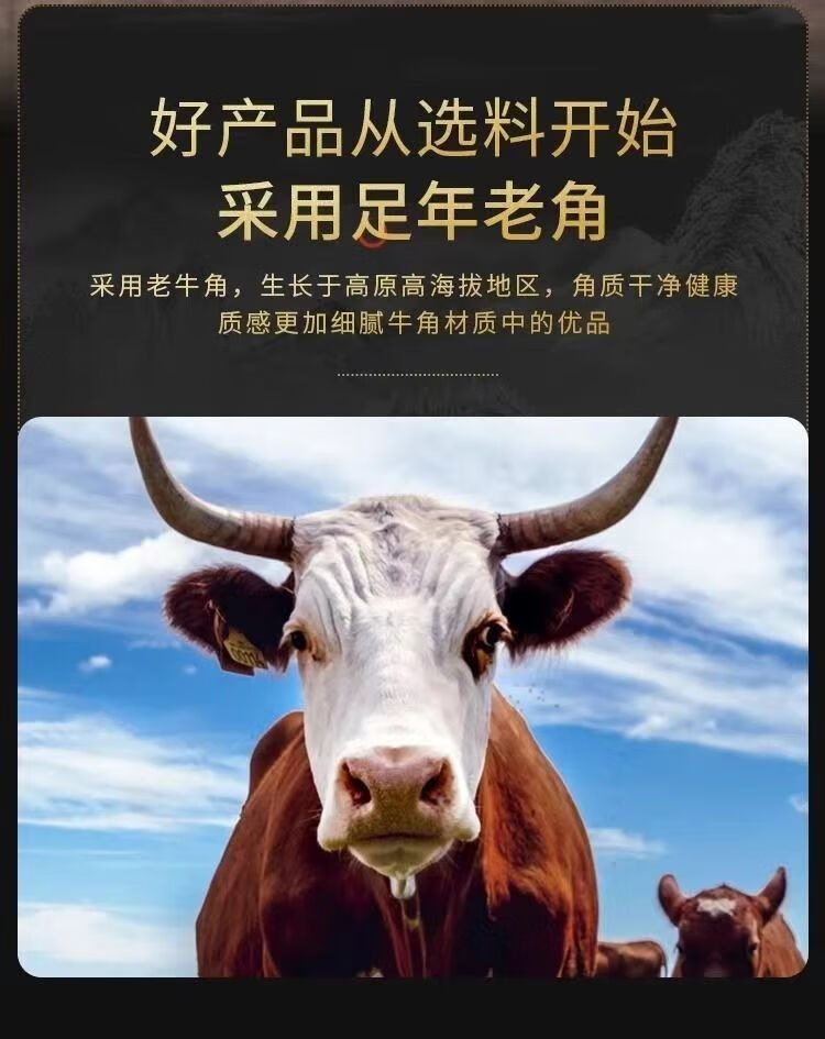 773b42df28b9d604.jpg