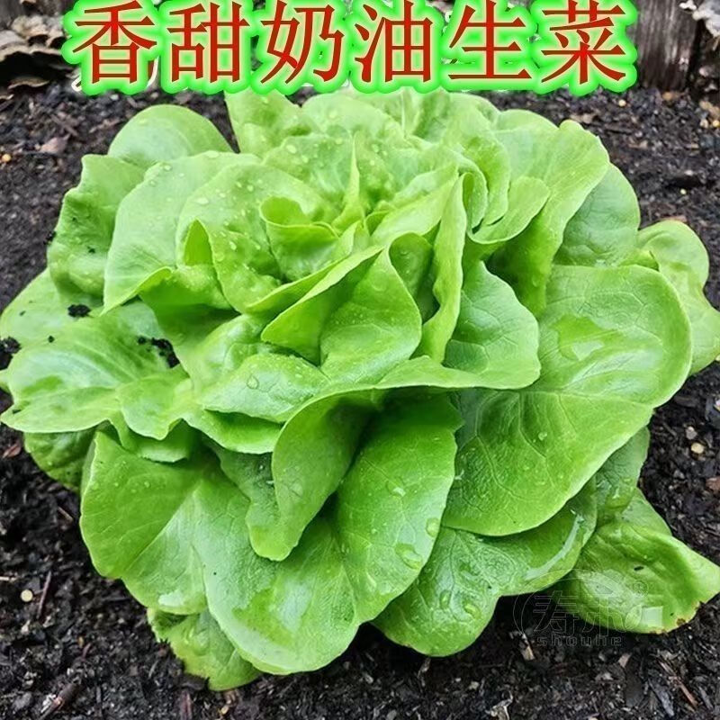 273c427e23b79953.jpg