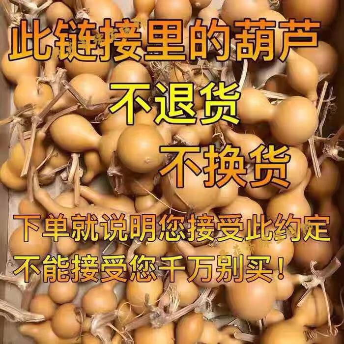 6e9ab6fd1ef6c66b.jpg