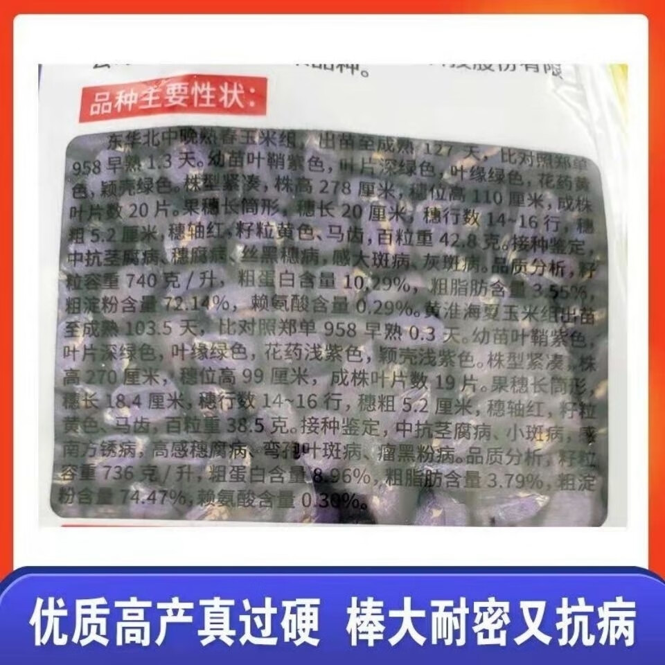 e588b8185ae91611.jpg