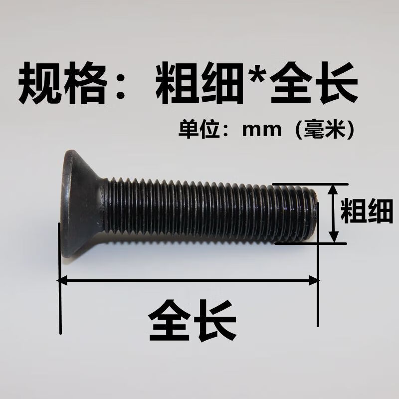 bed51ef6bde4c5e6.jpg