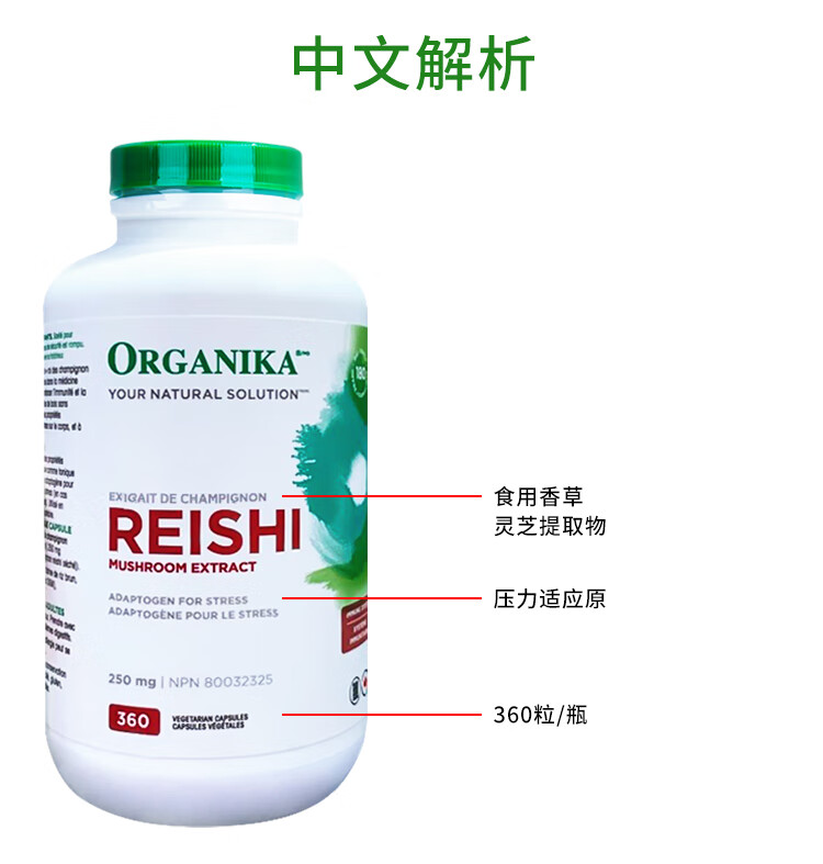 740f4024b1a789e4.jpg