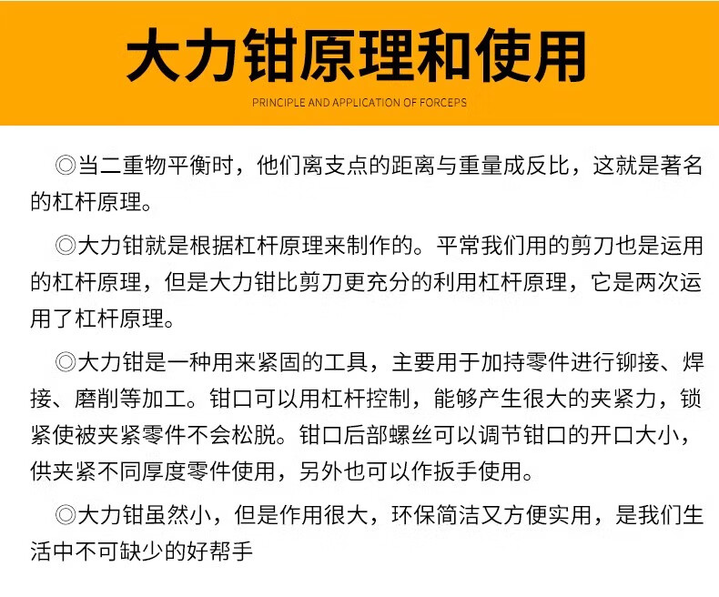 d977a346866402dc.jpg
