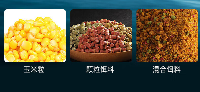 b5ba95e102a3d1be.jpg