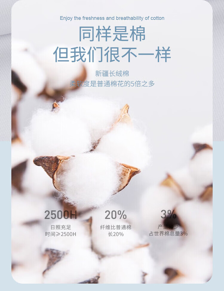 58c74c8be55b8683.jpg