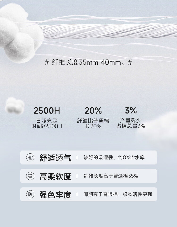 46bf404dbc383824.jpg