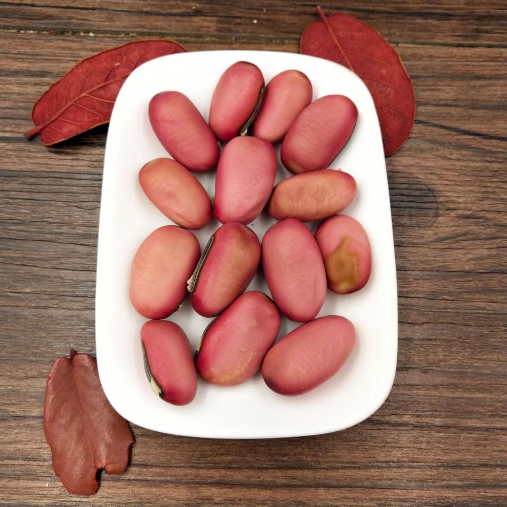 荟济堂 刀豆500克大红刀豆产地河南精选中药材原材料