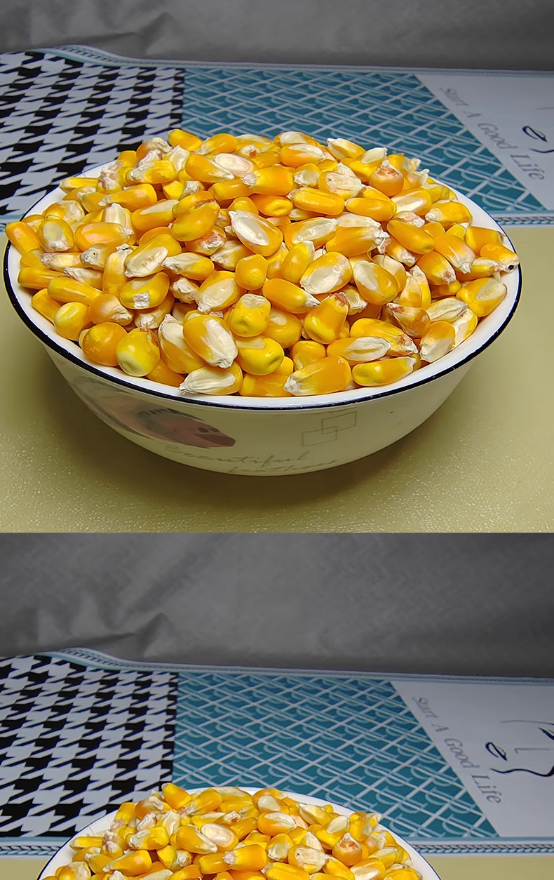 6a440f76fcb1a37d.png