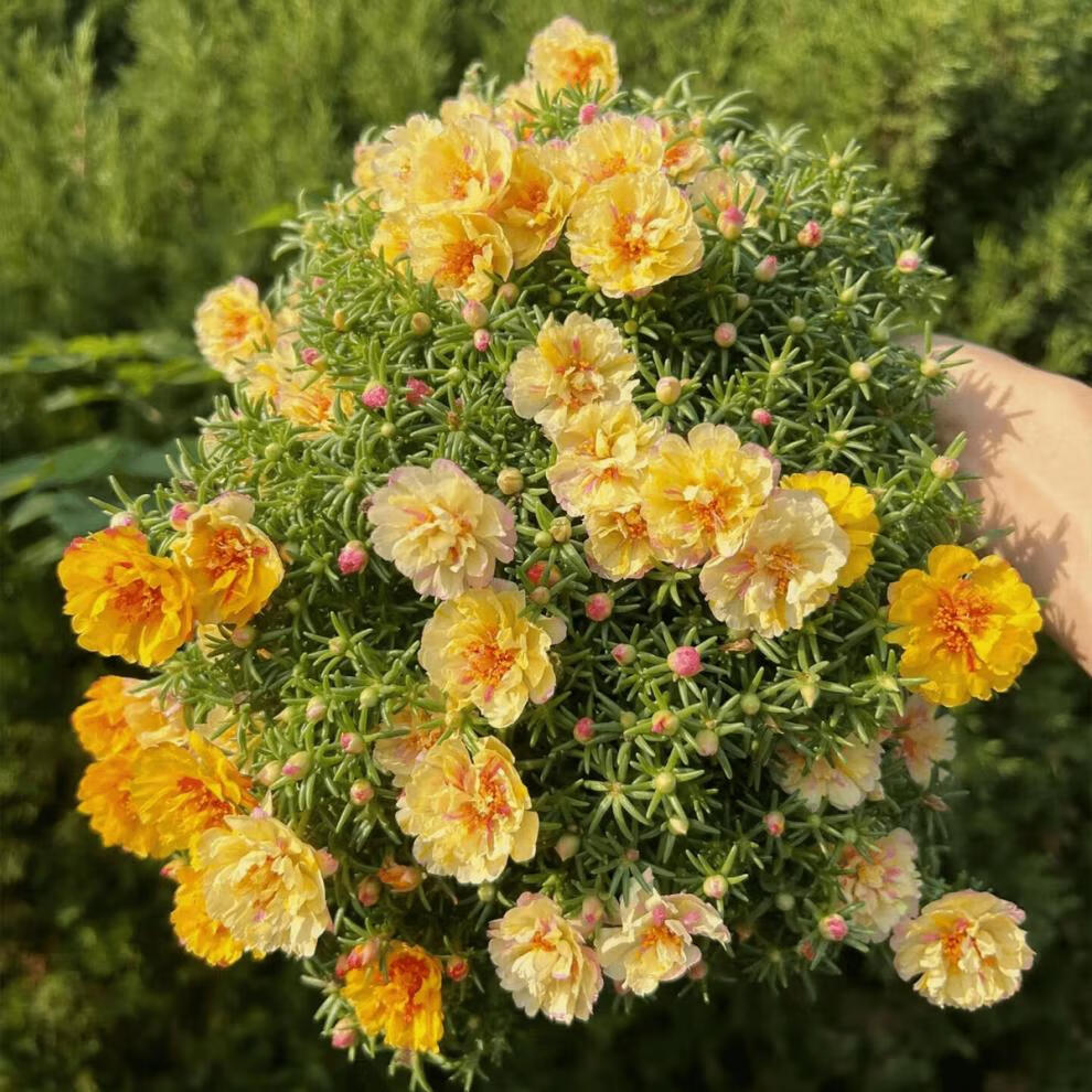 83fdcbd430a97be1.jpg