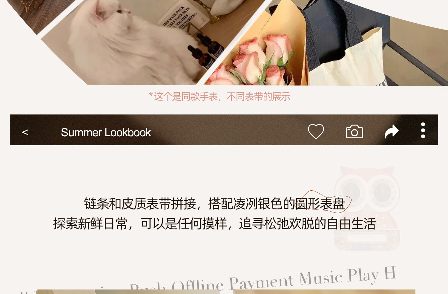 f85da806c62e8e25.jpg