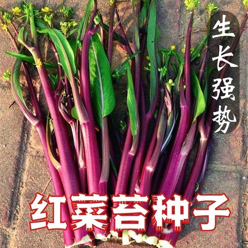 5c2d88bffae1d709.jpg