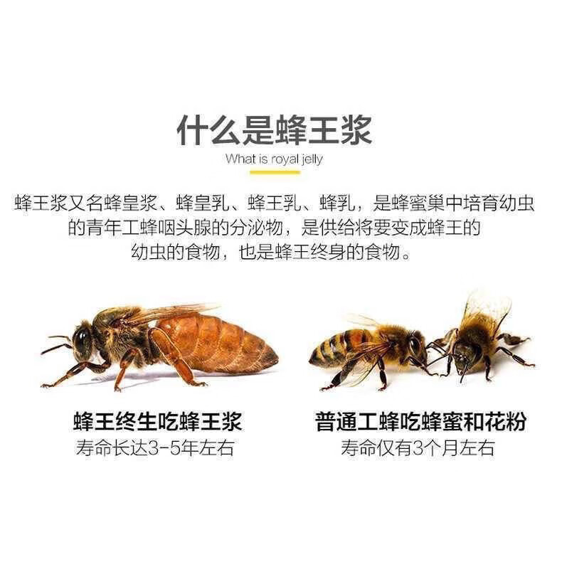 06d765b945ca487e.jpg